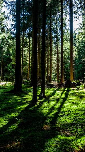 百度seo优化截图4