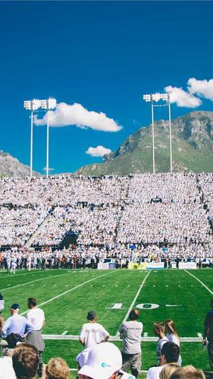 本地网站建设信息大全截图2