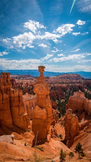 seo在线分析工具截图2