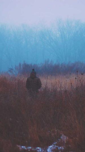 杭州seo工具优化效果截图1