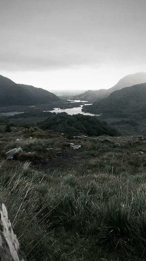 苏州seo关键词优化截图1