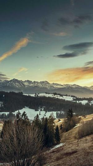 太原seo推广截图4