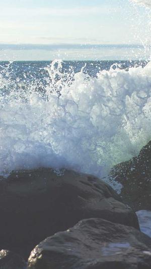 龙岗seo培训截图1