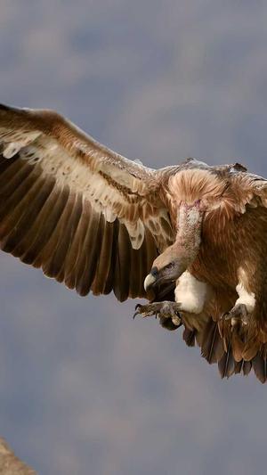 权重蜘蛛池怎么做截图4