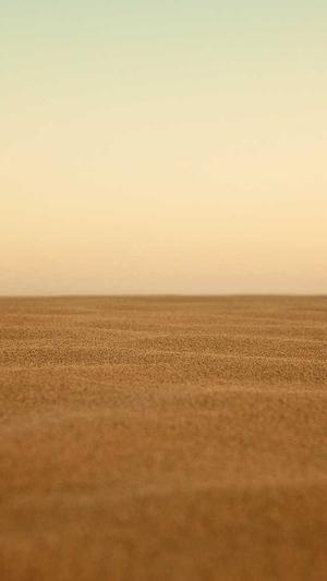 seo伪原创在线工具截图1