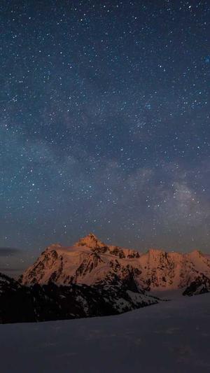 外推蜘蛛池推广工具截图4