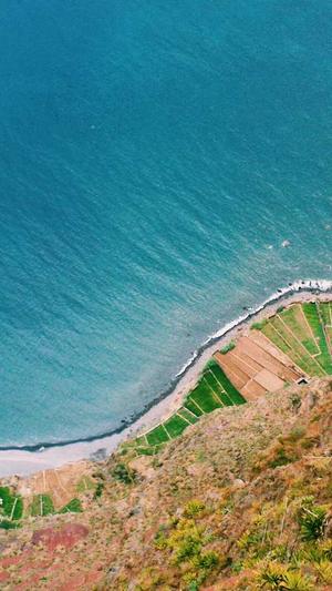 seo经理seo常用工具截图4