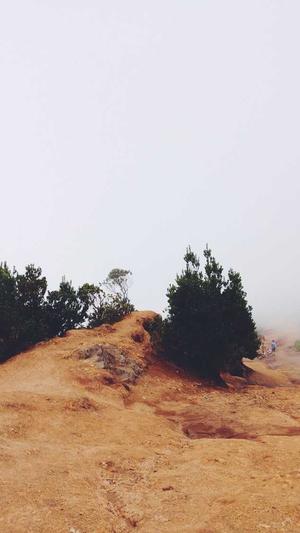 seo快速优化软件截图3