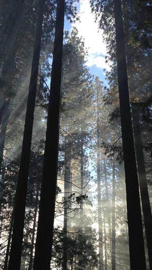 2021seo泛目录源码截图1