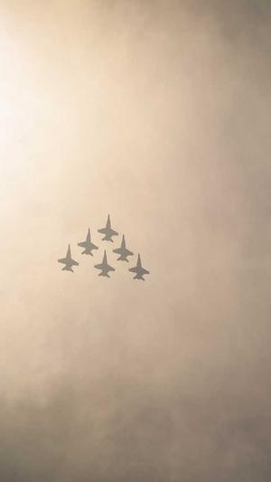 辽宁出租蜘蛛池电话截图1