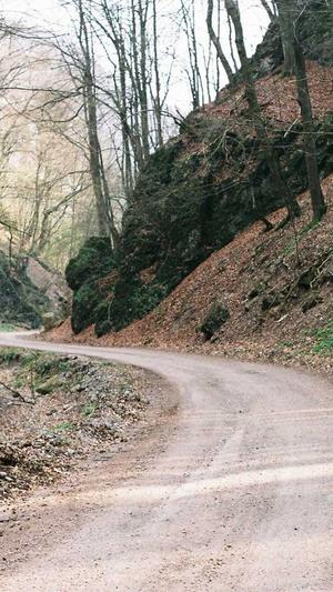 沈阳seo排名优化截图3