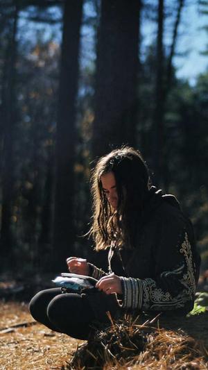 seo查询站长工具源码截图2