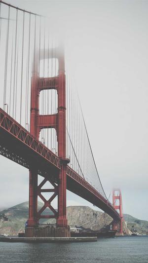 seo 快排工具截图2