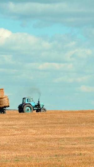 上海品牌网站建设公司截图1