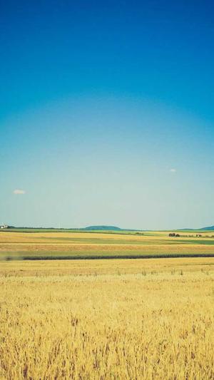 濮阳网站建设截图3