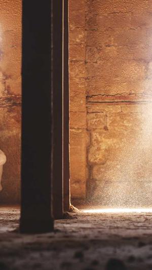 泛目录论坛截图1