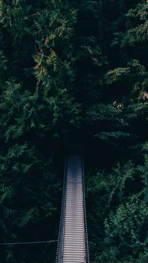 网站建设微信冲击截图1