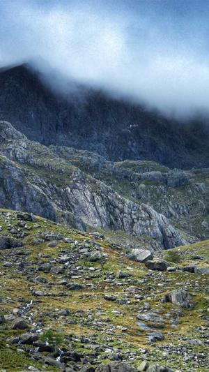 免费seo在线工具截图5