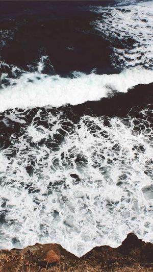 搜狗蜘蛛池有哪些网站截图2