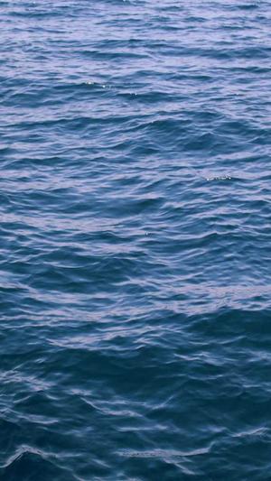 西宁seo优化截图3