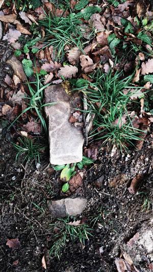 淄博 网站建设截图4