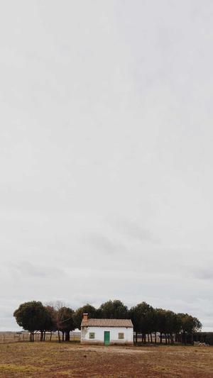 泛目录优化网站排名截图2