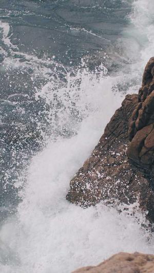 站长超级蜘蛛池截图4