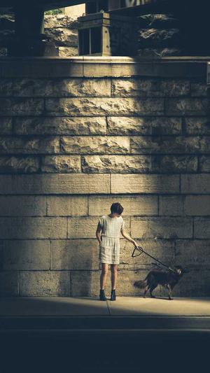 如何弄泛目录截图3