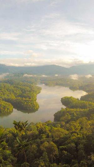 seo博客推广工具截图3