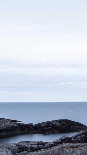 最蜘蛛池好用吗截图3