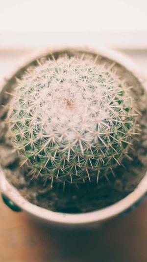 泛目录排名接单截图2