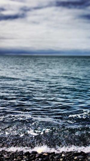 seo发帖工具泛目录截图5