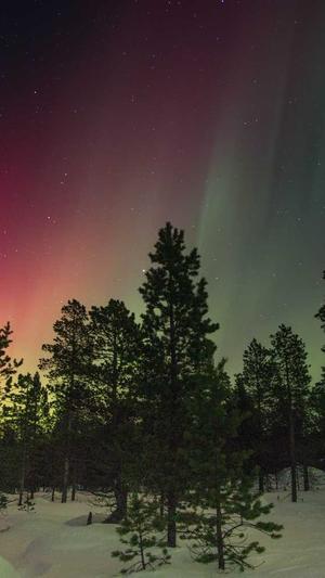 小旋风蜘蛛池正版授权截图2