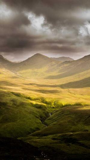 蜘蛛池购买网站是什么截图3