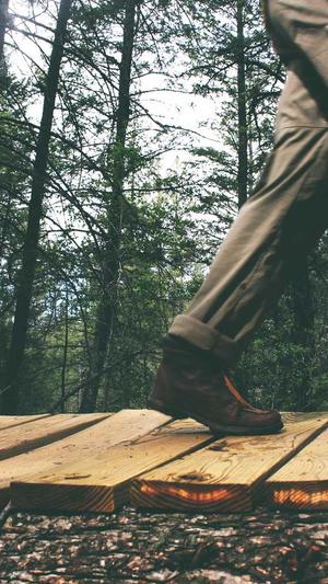 网站建设的公截图2