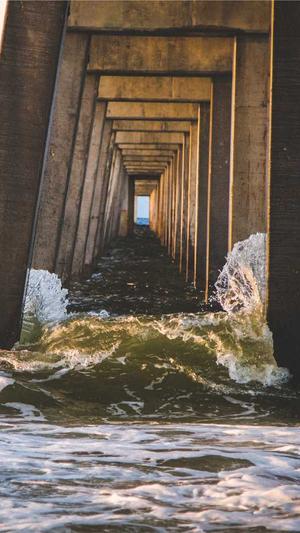 本地网站建设信息大全截图3