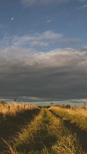 自动蜘蛛池截图2