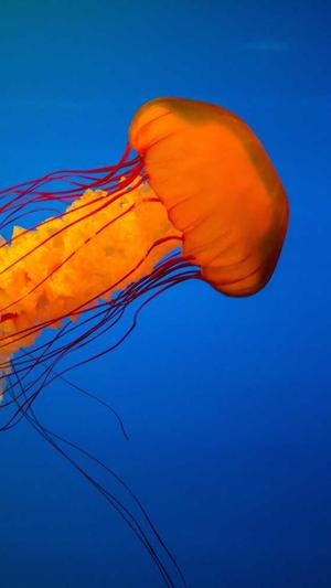 福建seo工具效果截图3