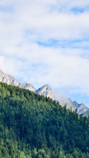 泛函分析目录截图3