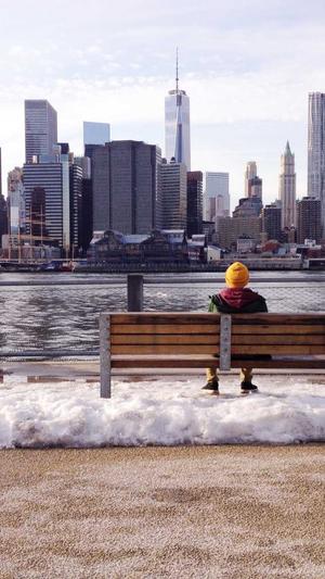 seo查询工具使用教程截图3