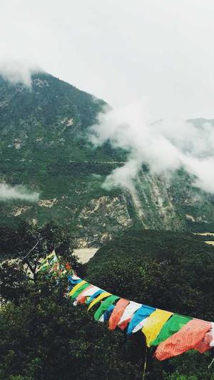 泛目录站群软件最新版截图2