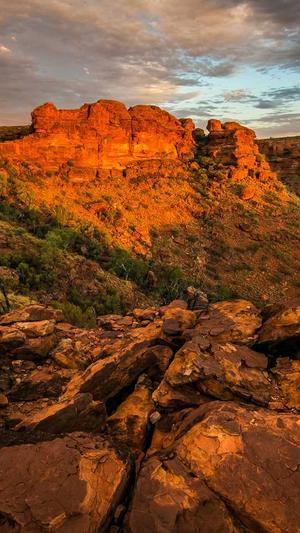 seo优化工具大全截图1