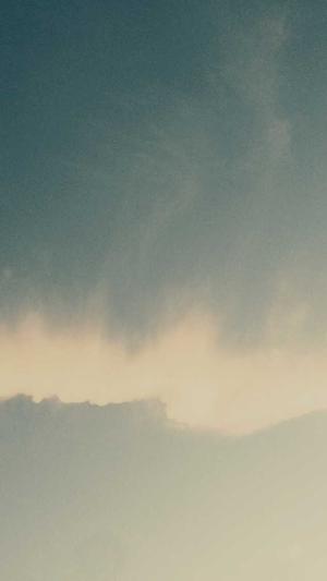 西藏神马蜘蛛池租用截图4