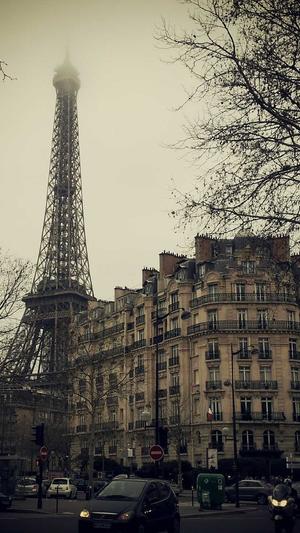 网站优化seo小工具截图2