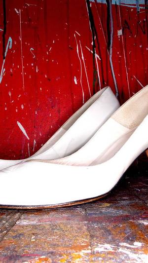 西藏蜘蛛池出租服务截图4