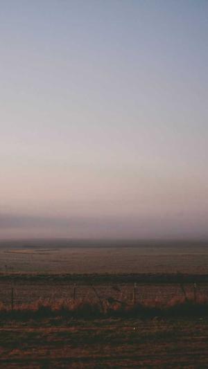 seo优化辅助工具截图3