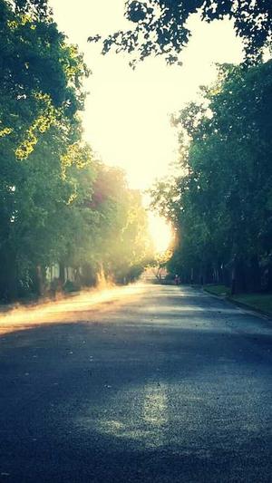 北京seo自学网截图5