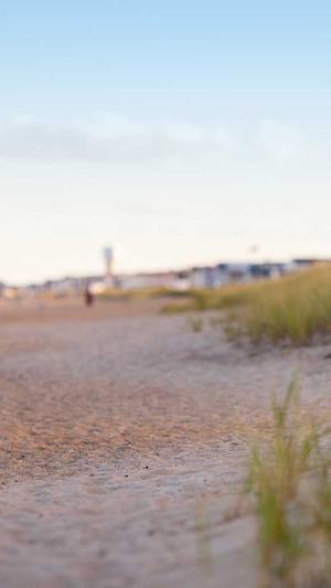 株洲seo优化截图1