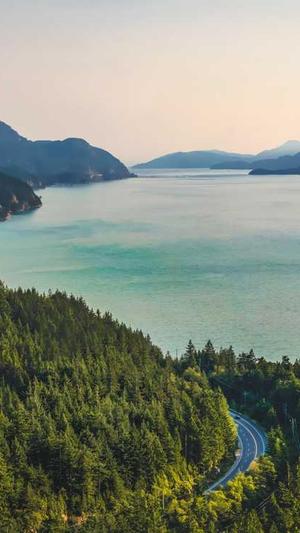 百度蜘蛛池搭建教程截图2