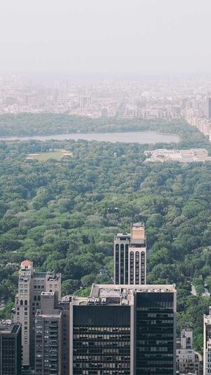 泛目录代发排名截图3